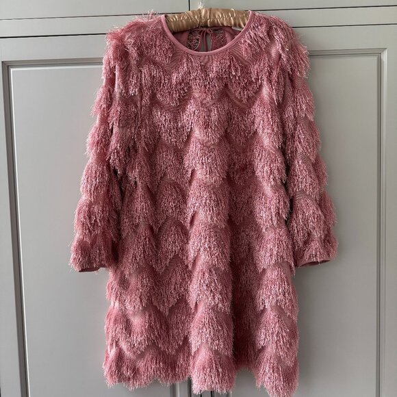 NWT Anthropologie Hutch Fringed Chevron Shift Dress - Picture 6 of 9